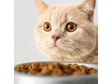Корма для кошек