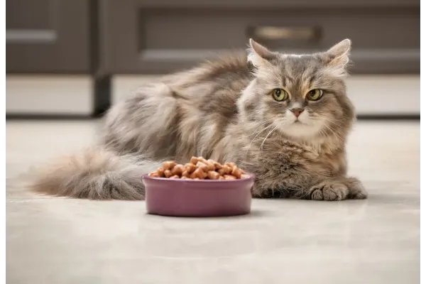 Полнорационный сухой корм для стерилизованных кошек с уткой Sterilized Cat Duck премиум